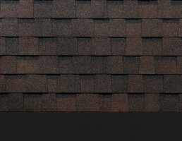 Döcke Pie Dragon Europa